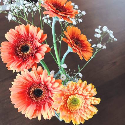 f:id:ouchibiyori:20200429195756j:plain