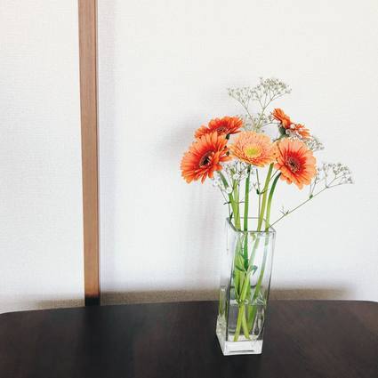 f:id:ouchibiyori:20200429195805j:plain