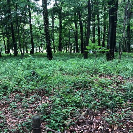 f:id:ouchibiyori:20200521205125j:plain f:id:ouchibiyori:20200521205125j:plain