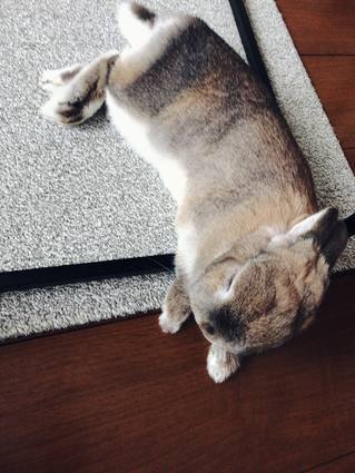 f:id:ouchibiyori:20200522205523j:plain