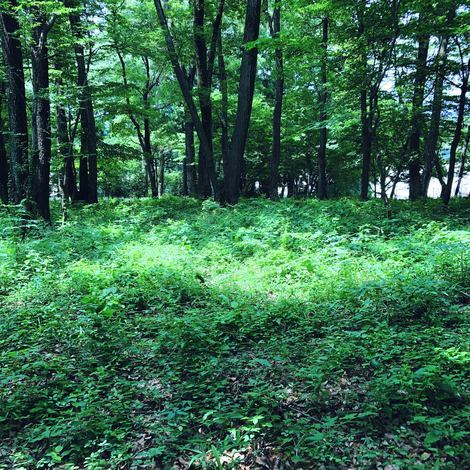 f:id:ouchibiyori:20200702202823j:plain f:id:ouchibiyori:20200702202823j:plain