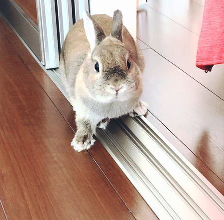 f:id:ouchibiyori:20200910183525j:plain f:id:ouchibiyori:20200910183525j:plain