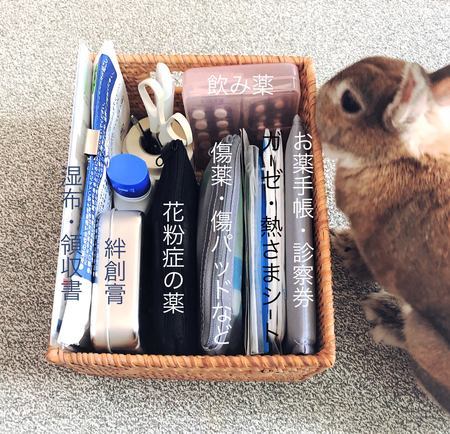 f:id:ouchibiyori:20200922183817j:plain f:id:ouchibiyori:20200922183817j:plain