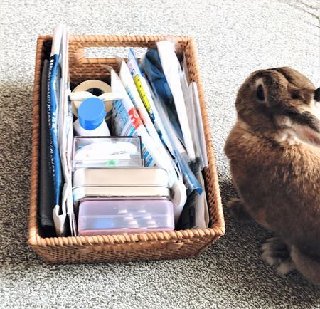 f:id:ouchibiyori:20200922183841j:plain f:id:ouchibiyori:20200922183841j:plain