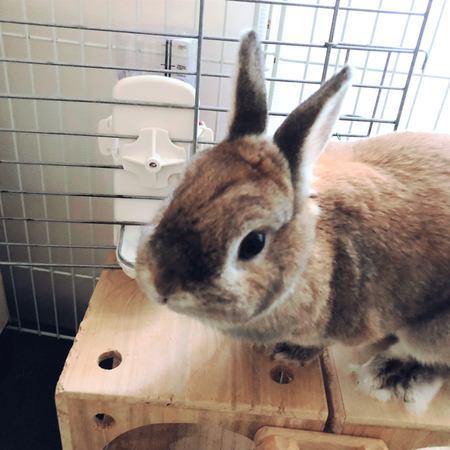 f:id:ouchibiyori:20201023200503j:plain f:id:ouchibiyori:20201023200503j:plain