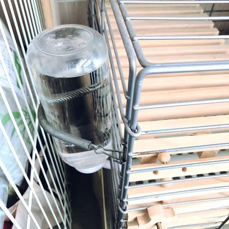 f:id:ouchibiyori:20201023200540j:plain f:id:ouchibiyori:20201023200540j:plain