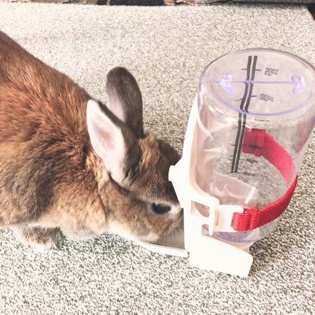 f:id:ouchibiyori:20201023200549j:plain f:id:ouchibiyori:20201023200549j:plain