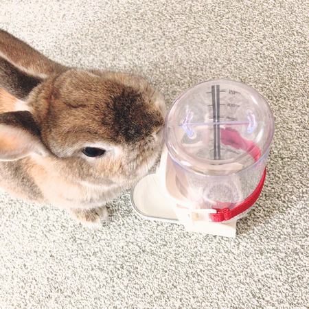 f:id:ouchibiyori:20201023200556j:plain f:id:ouchibiyori:20201023200556j:plain