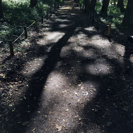 f:id:ouchibiyori:20201109192324j:plain