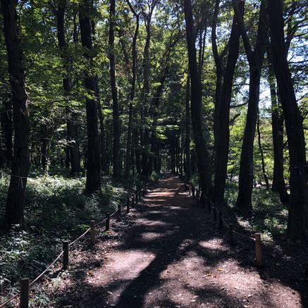 f:id:ouchibiyori:20201109192337j:plain