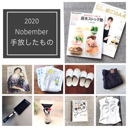 f:id:ouchibiyori:20201130193702j:plain