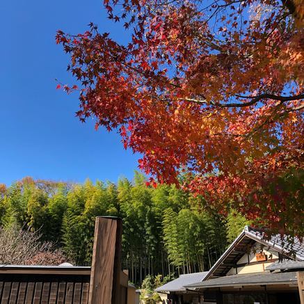 f:id:ouchibiyori:20201208144517j:plain