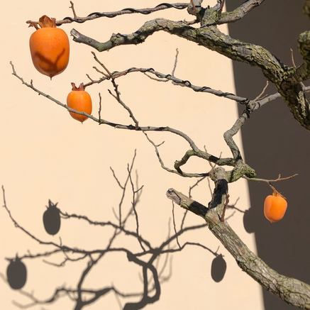 f:id:ouchibiyori:20201208144547j:plain