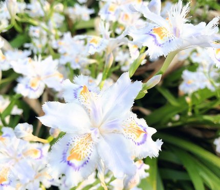 f:id:ouchibiyori:20210412193455j:plain