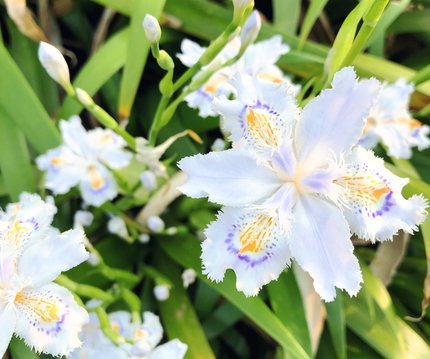 f:id:ouchibiyori:20210412193505j:plain