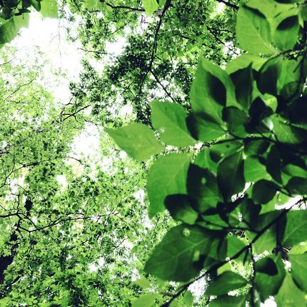 f:id:ouchibiyori:20210419181835j:plain