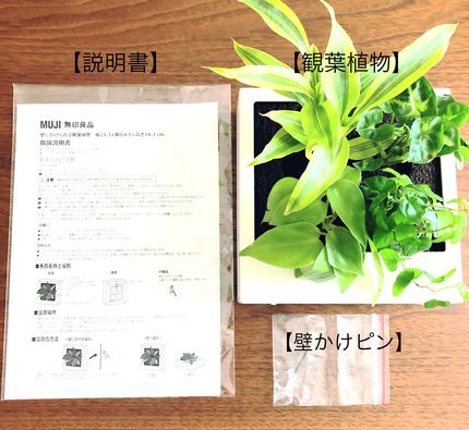 f:id:ouchibiyori:20210425165237j:plain