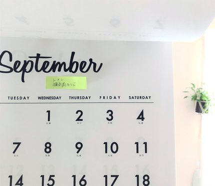 f:id:ouchibiyori:20210705164034j:plain