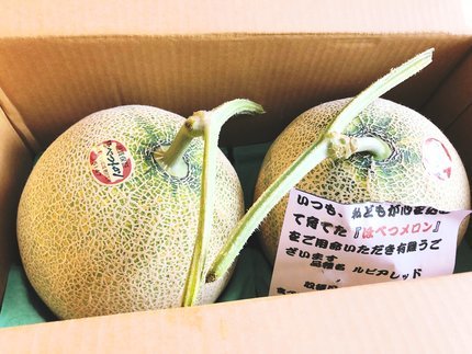 f:id:ouchibiyori:20210725181429j:plain