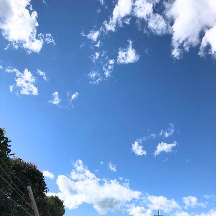 f:id:ouchibiyori:20211026123350j:plain