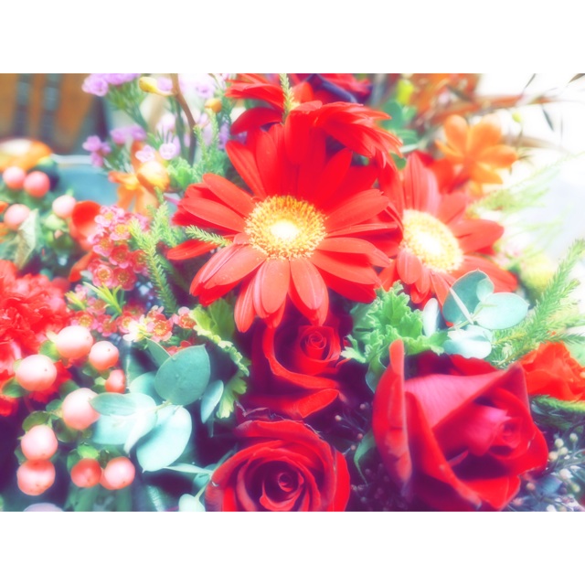 f:id:oui-ou-non:20161127202653j:plain f:id:oui-ou-non:20161127202653j:plain
