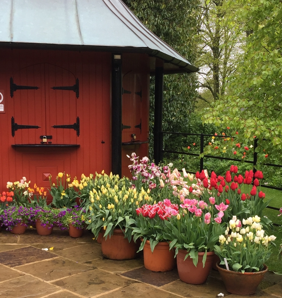f:id:ouiouigarden:20190306082303j:plain f:id:ouiouigarden:20190306082303j:plain