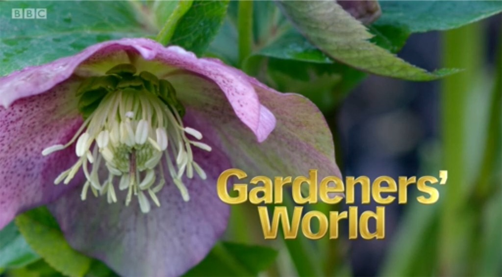 f:id:ouiouigarden:20190317085404j:image f:id:ouiouigarden:20190317085404j:image