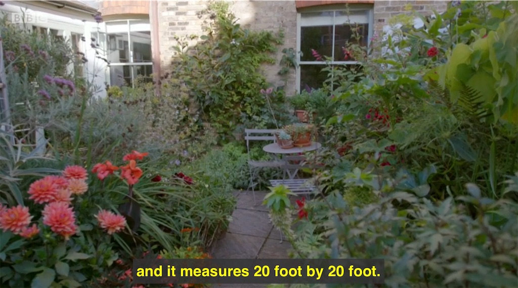 f:id:ouiouigarden:20190317090231j:image f:id:ouiouigarden:20190317090231j:image