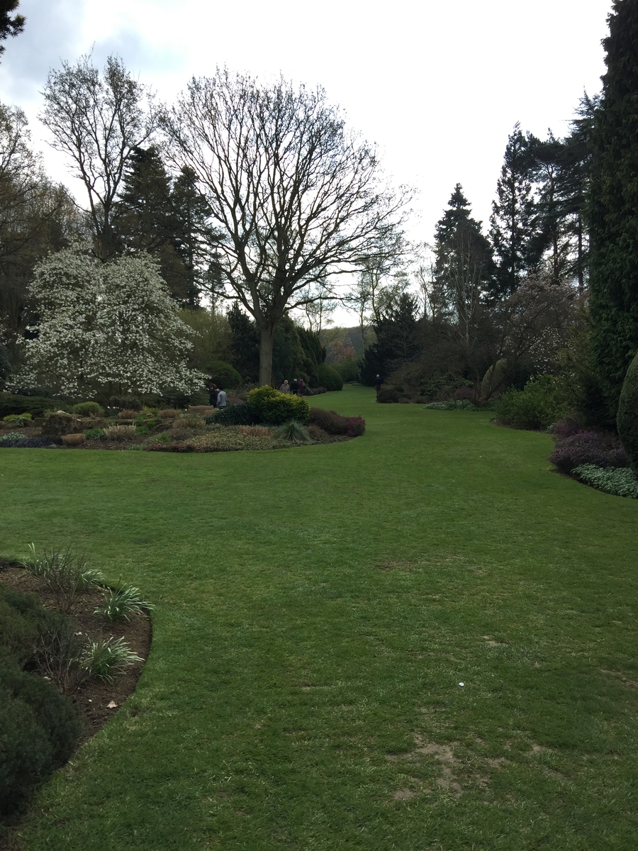 f:id:ouiouigarden:20190415065922j:plain f:id:ouiouigarden:20190415065922j:plain