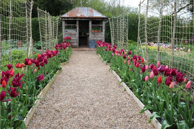 f:id:ouiouigarden:20190430075208j:plain f:id:ouiouigarden:20190430075208j:plain