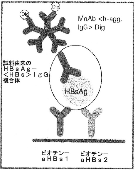 f:id:oukajinsugawa:20161116165044j:plain f:id:oukajinsugawa:20161116165044j:plain