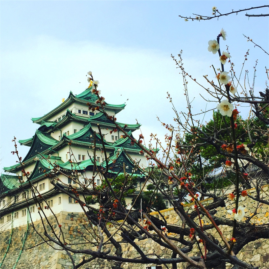 f:id:oukakreuz:20170209225724j:image f:id:oukakreuz:20170209225724j:image