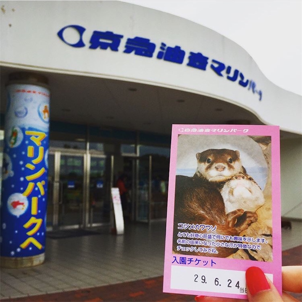 f:id:oukakreuz:20170624211534j:image
