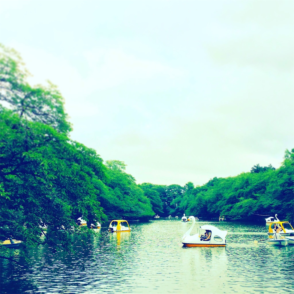 f:id:oukakreuz:20170706213054j:image