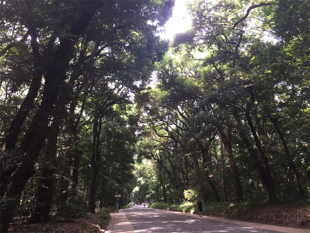 f:id:oukakreuz:20170728215433j:image