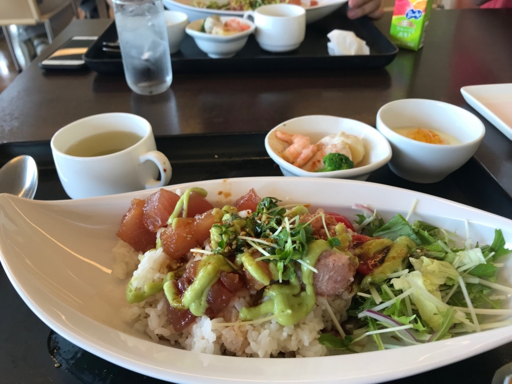 f:id:oukasakura3:20180819215308j:plain