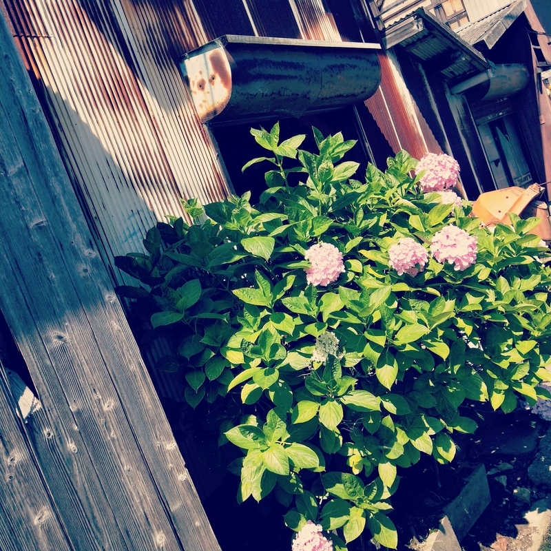 f:id:ouo_ouo123:20200623220004j:plain