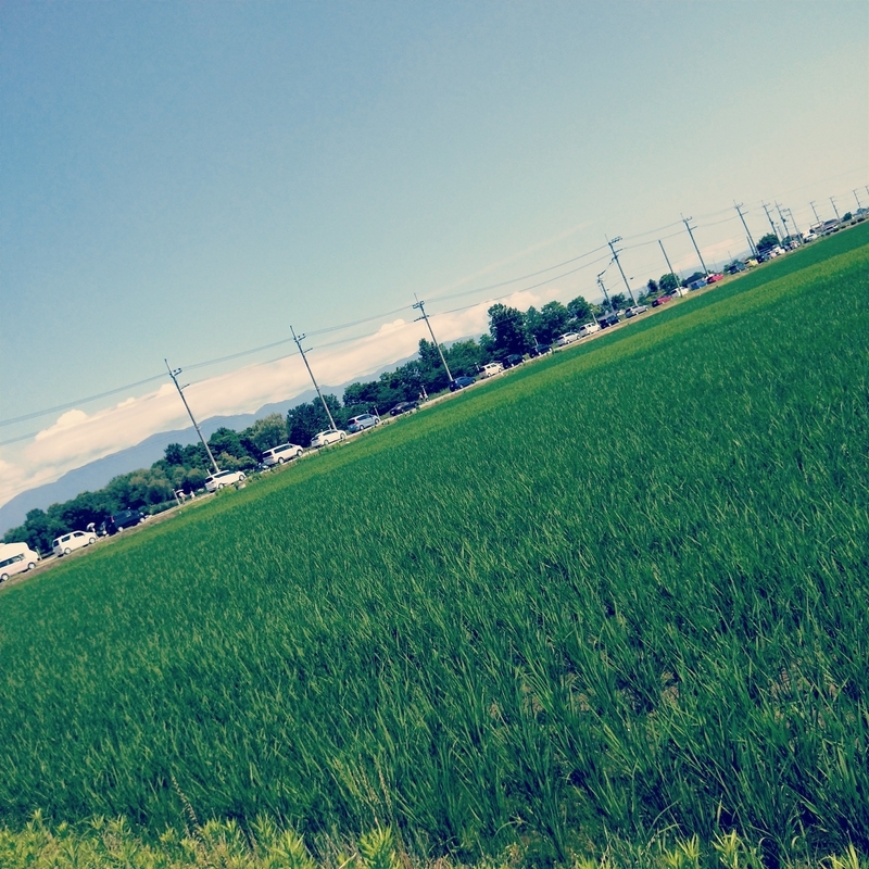 f:id:ouo_ouo123:20200623220018j:plain