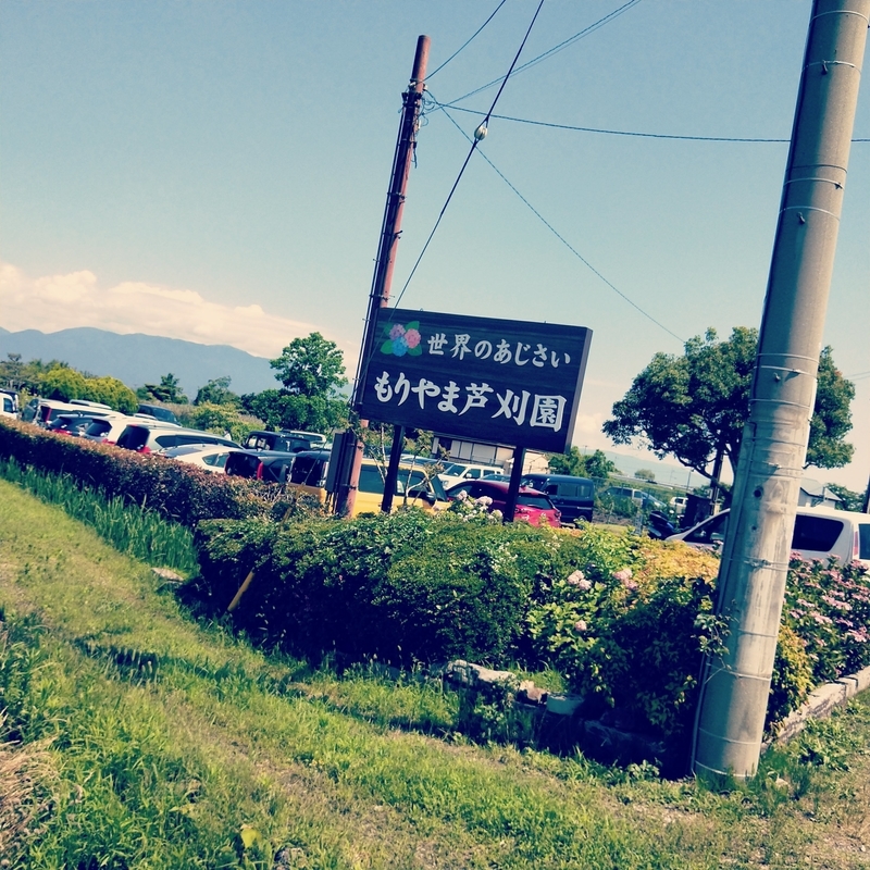 f:id:ouo_ouo123:20200623220029j:plain