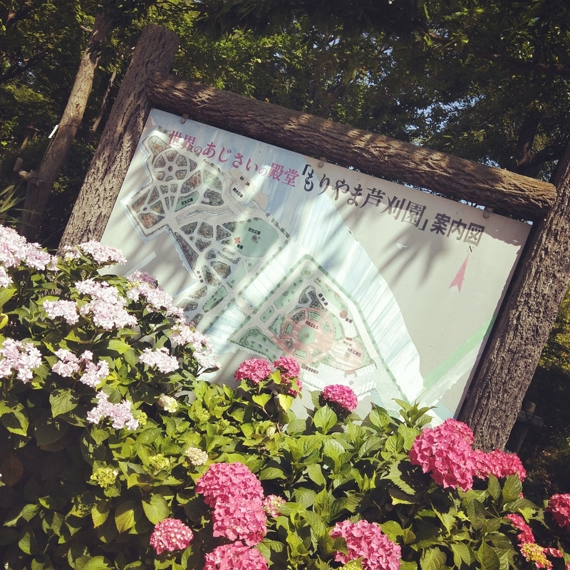 f:id:ouo_ouo123:20200623220119j:plain