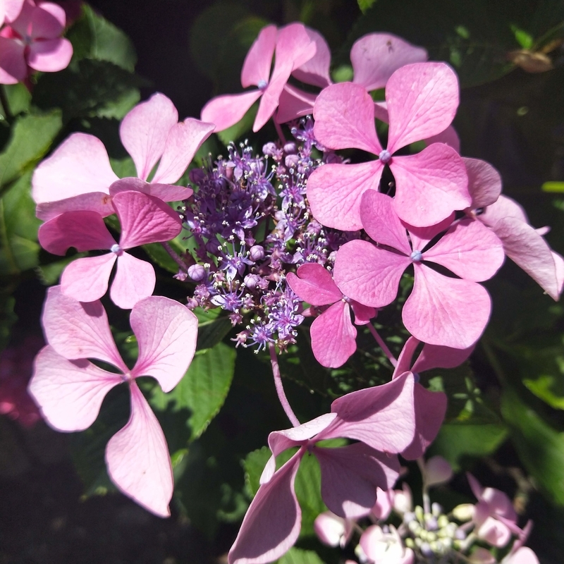 f:id:ouo_ouo123:20200623220305j:plain