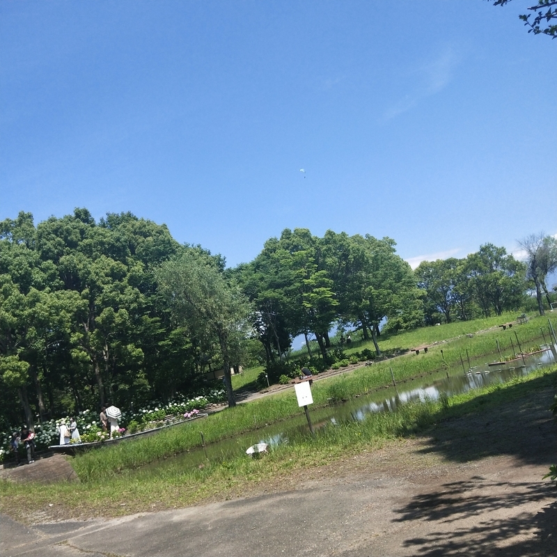 f:id:ouo_ouo123:20200623220405j:plain