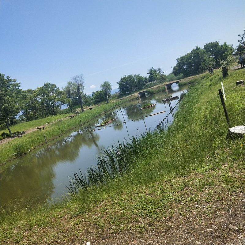 f:id:ouo_ouo123:20200623220416j:plain