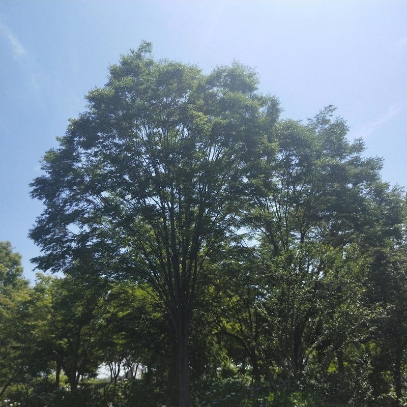 f:id:ouo_ouo123:20200623220427j:plain