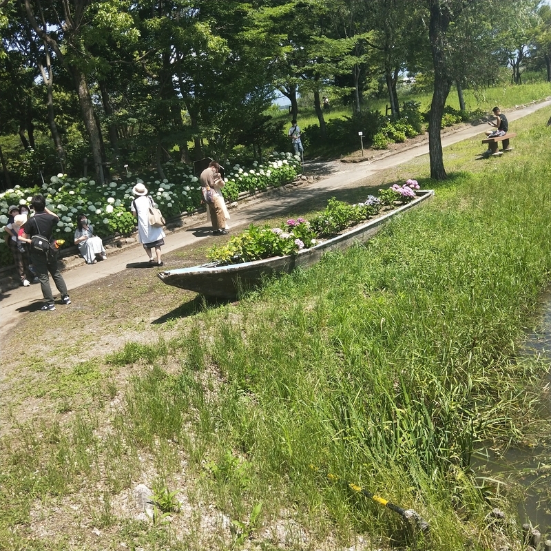 f:id:ouo_ouo123:20200623220440j:plain