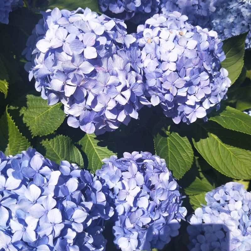 f:id:ouo_ouo123:20200623220532j:plain