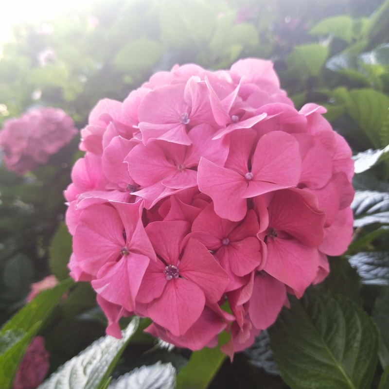 f:id:ouo_ouo123:20200623220603j:plain