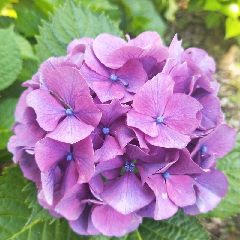 f:id:ouo_ouo123:20200623220702j:plain