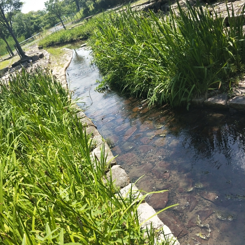 f:id:ouo_ouo123:20200623220723j:plain