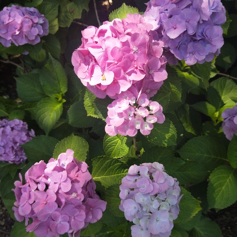 f:id:ouo_ouo123:20200623220745j:plain